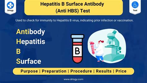 anti hbs reactive meaning tagalog|Understanding What Hepatitis B Reactive Means .